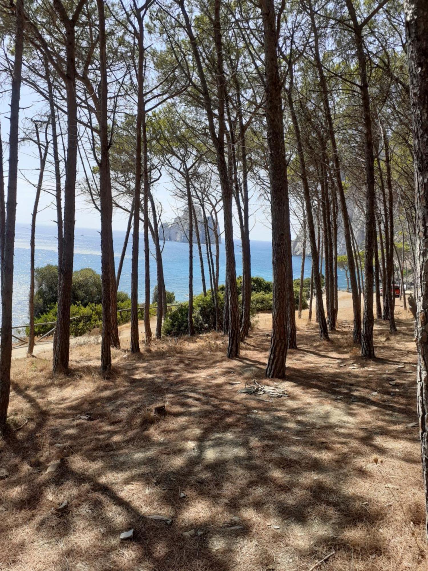 La Villa Tanca Piras Nebida المظهر الخارجي الصورة